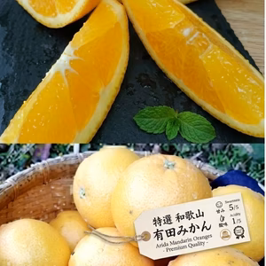 限定10【 激レア品】   有田産【甘い黄色】【 めろイエロー 】 