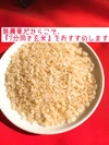 自然栽培こころん米（4.5kg）
