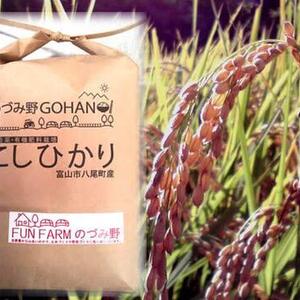 令和2年産　特別栽培米コシヒカリ(白米)１０kg