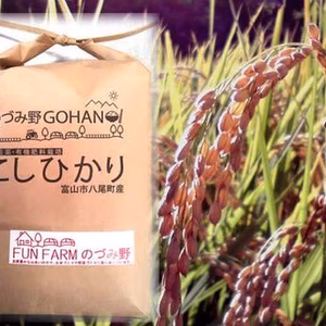 2022年産　特別栽培米コシヒカリ(白米)５kg