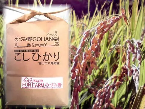 2023年産　特別栽培米コシヒカリ(白米)