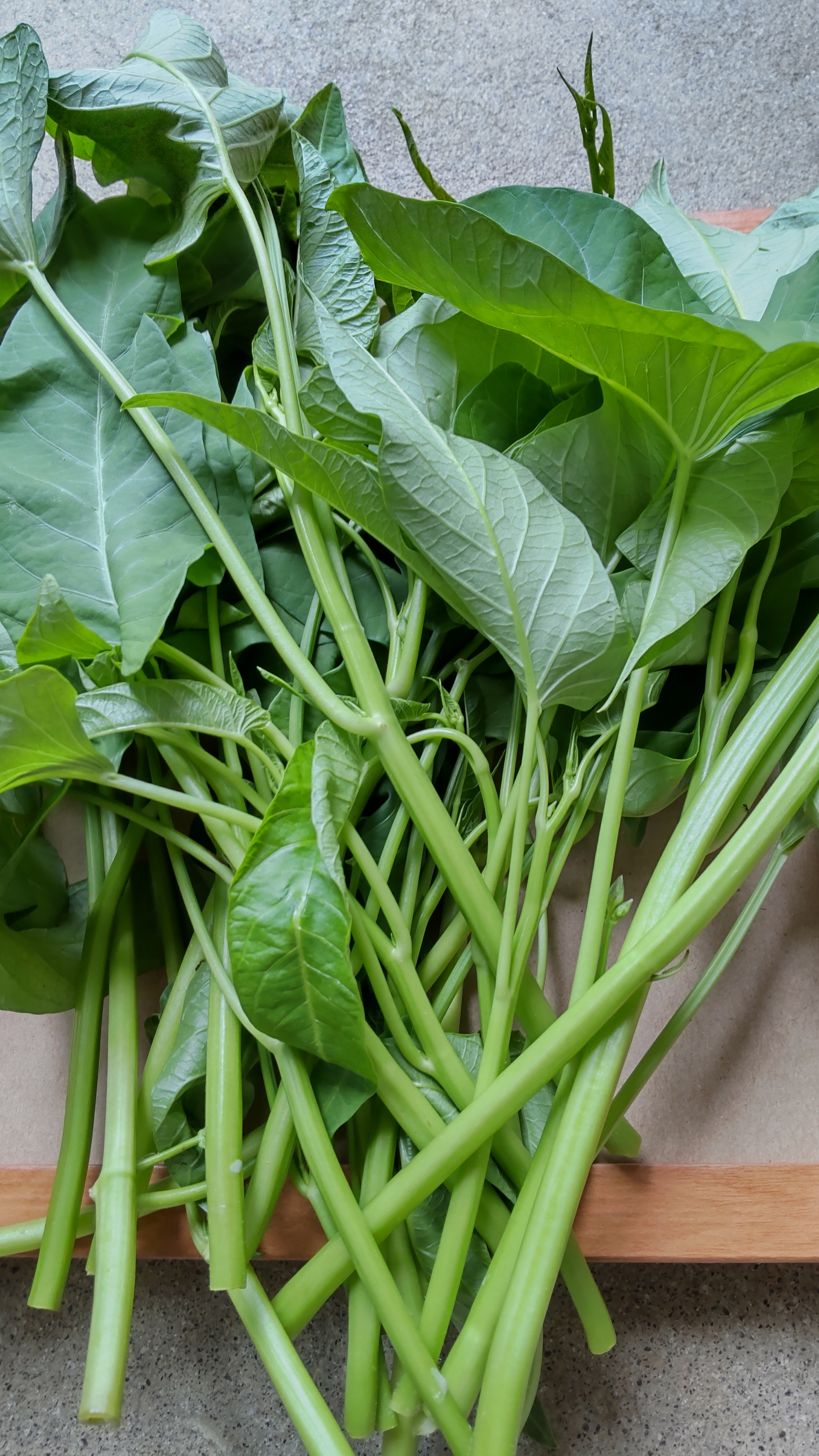 空芯菜の通販・お取り寄せ商品｜野菜｜ポケットマルシェ｜産地直送で旬