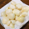 【5/20まで受付】農薬・化学肥料不使用！熊本のマイルド生にんにく