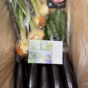 【期間限定】フルーツ玉ねぎとナスとキュウリのセット　5kg