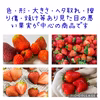 【業務用】青森県下北産　夏秋いちご　小粒サイズ（2〜4kg）