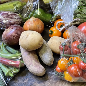 農薬・化学肥料不使用　　季節のお野菜セット