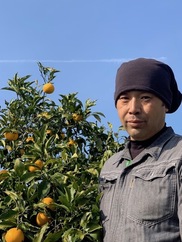 柑橘園 ヤマタ 遠山卓史さん 農家漁師から産地直送の通販 ポケットマルシェ