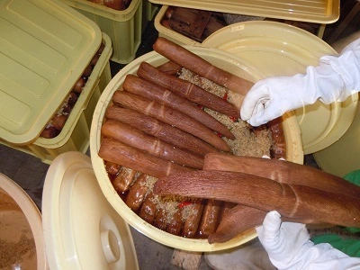 クール便【いぶりがっこ】サイズ不揃いお得な10本・大根農薬不使用・天日塩仕込み