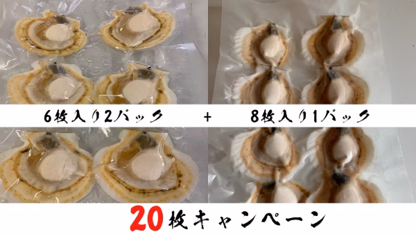 ホタテ真空冷凍２０枚キャンペーン