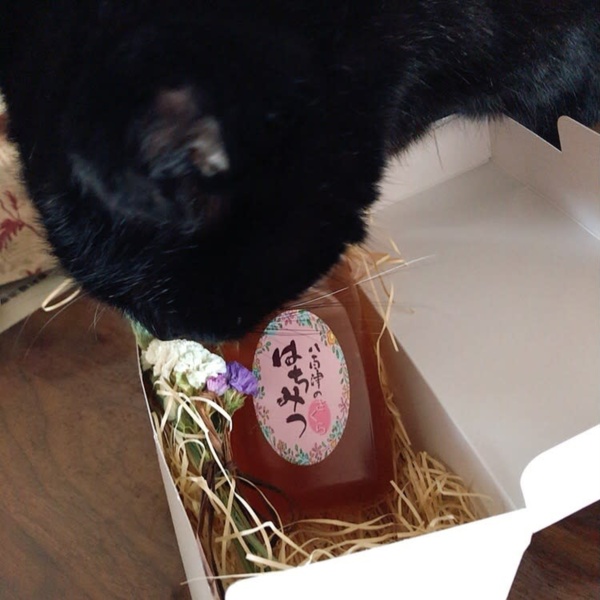 里山はちみつ味比べ(山桜・百花・アカシア)  農家漁師から産地直送の 