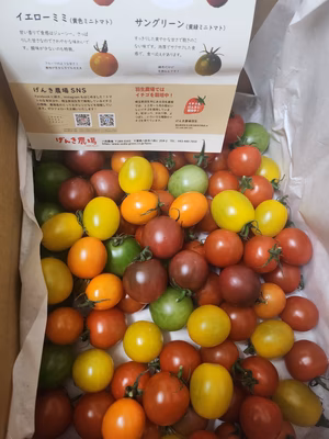 みんなの投稿の画像