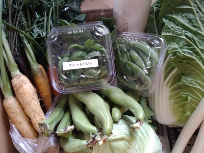 みんなの投稿の画像