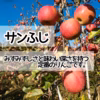 【送料無料】スーパームーンりんご＆サンふじ・訳あり10kg