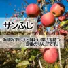 【送料無料】スーパームーンりんご＆サンふじ・訳あり10kg