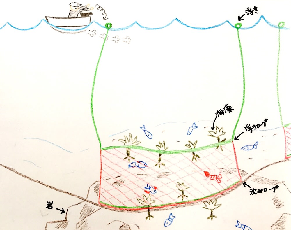 刺し網漁ってどんな漁？下田の伊勢海老漁師に教えてもらったよ | 農家 ...