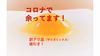 相馬ミルキーエッグ【選べるパック数】1,2,4,5,6