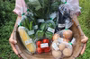 【月１定期】旬の有機野菜セット8~9品＜有機JAS認証＞