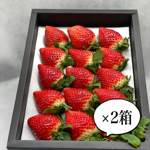 【母の日ギフト】大粒いちごさん・さがほのか食べ比べギフト♡12〜18粒×2箱