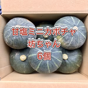 【鹿児島産】甘塩ミニカボチャ（坊ちゃん）6個^_^