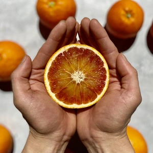 【真っ赤な高級柑橘】ブラッドオレンジ【さわやかな酸味と豊かな風味】