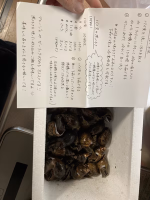 みんなの投稿の画像