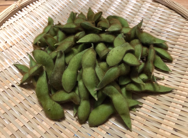 【農薬・化学肥料不使用栽培】　朝採り　青森県産　毛豆　８００ｇ