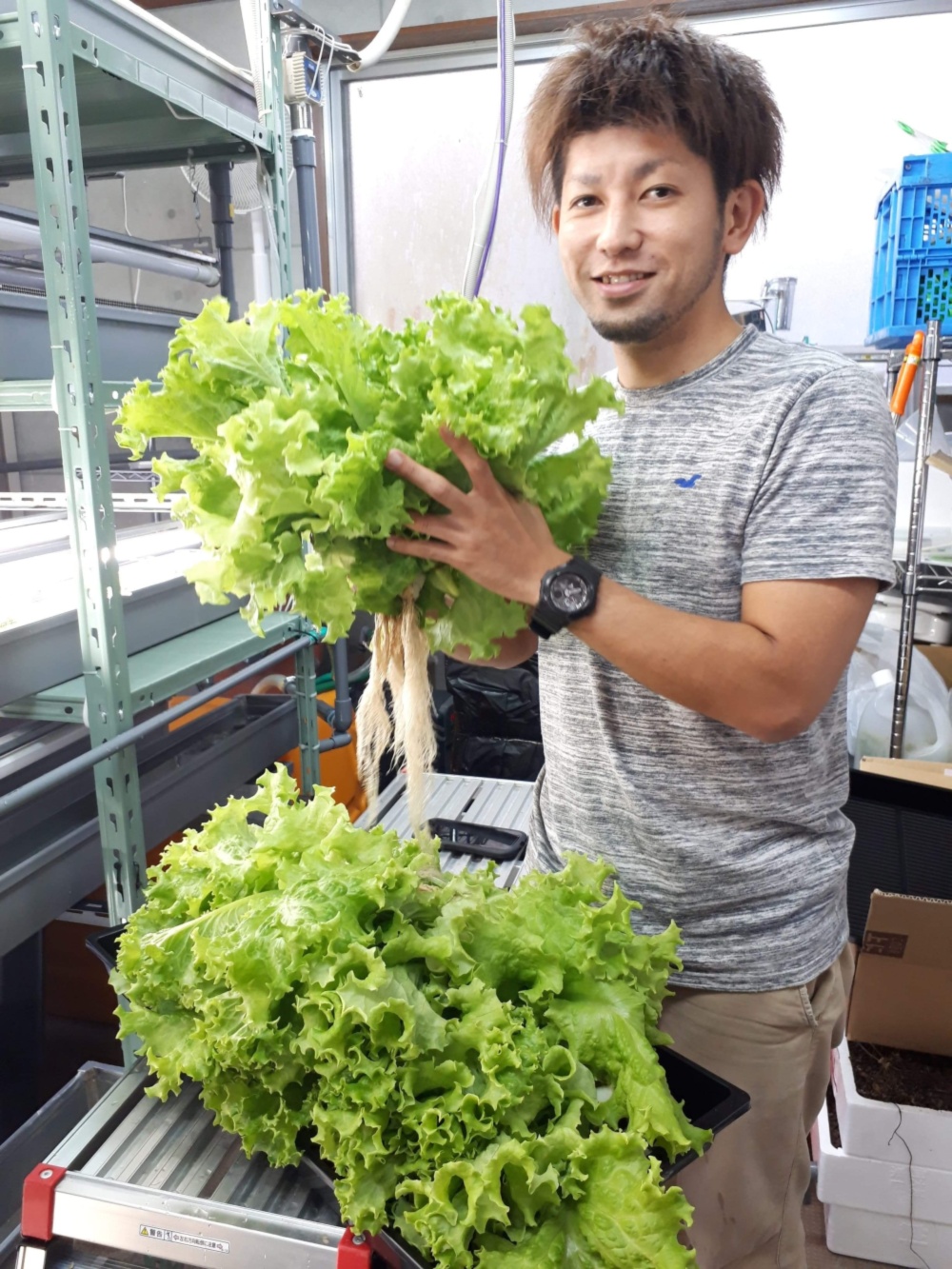 株式会社玉城ファーム 玉城真悟さん 農家漁師から産地直送の通販 ポケットマルシェ