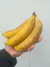 【祝4周年記念】冷凍バナナ　夏の疲れにぴったり