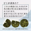 有明海産（熊本県産）早摘み焼き海苔　全形40枚
