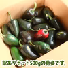 【訳あり】メキシカン料理に欠かせない青唐辛子『ハラペーニョ』