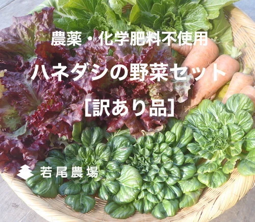 B品【ハネダシの野菜セット】