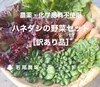 B品【ハネダシの野菜セット】