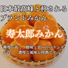 極小 寿太郎みかん 約1.8キロ みかん 訳ありみかん 西浦みかん 寿太郎