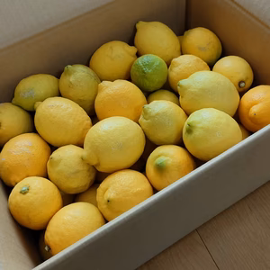【福袋2026】無農薬レモン5kg