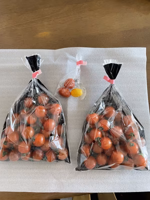 みんなの投稿の画像