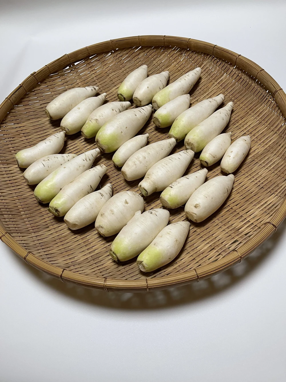 おろしそばに最適!越前福井産辛味大根400グラム（３個〜５個程度）