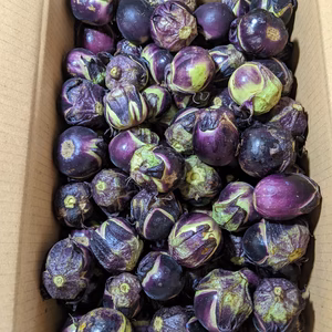 薄皮丸ナスSサイズ