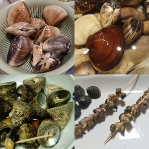 飯田水産 飯田哲也さん 農家漁師から産地直送の通販 ポケットマルシェ