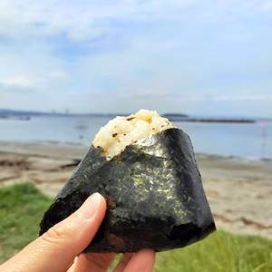 【送料430円】ごま油塩　焼海苔セット【 ツゥな海苔好きな方へ：江戸前のり】