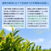 【送料無料・メール便】農薬も化学肥料も使わないで育てたお茶 茶葉100g 静岡 