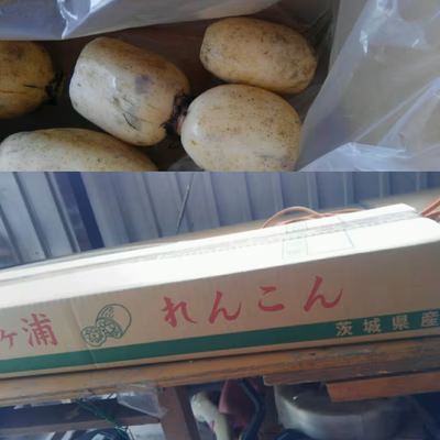 みんなの投稿の画像