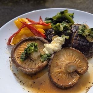 ☆大分県産原木椎茸1箱★ステーキなどに★菌興327