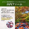 【数量限定】青森県サンふじ！3kg家庭用！自然の恵みたっぷり《リピート多数》