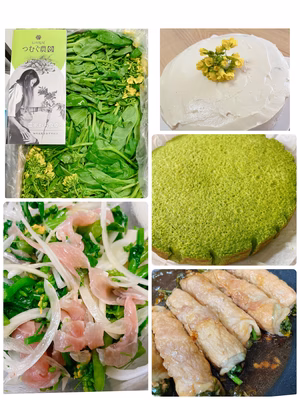 みんなの投稿の画像