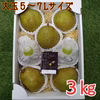 超ビック！大玉ラ・フランス【３kg】化粧箱入《11月上旬〜発送》