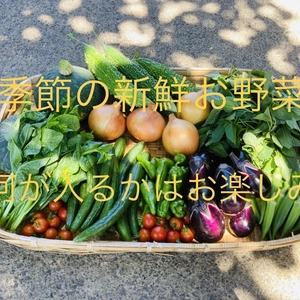 季節の新鮮野菜5品詰め合わせセット(^^)