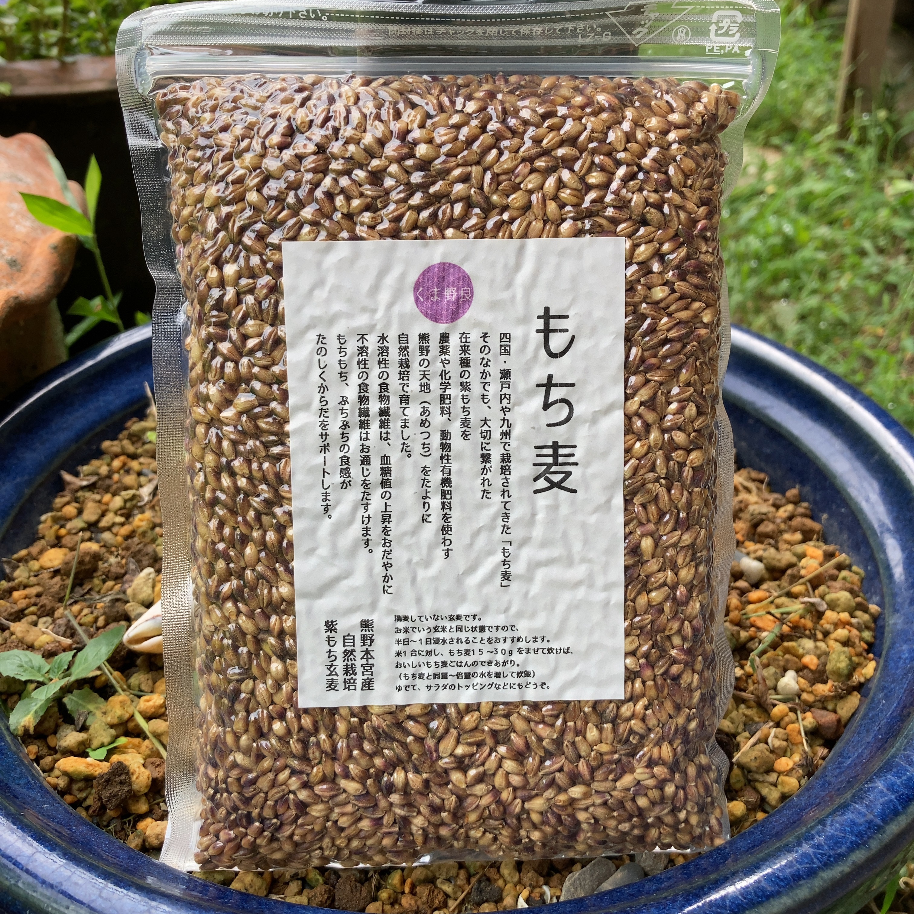 自然栽培玄麦 もち麦｜その他の米・雑穀類の商品詳細｜ポケット