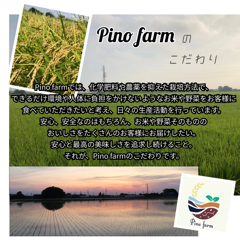 R4年産　Pino farmのお米　にじのきらめき  10㎏
