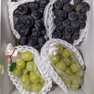 葡萄の詰め合わせ