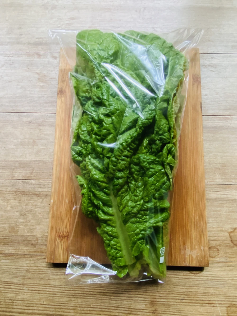 かつお菜　朝どり！お鍋のお供に！　京都府産